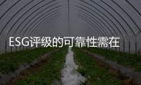 快排公司十年历程，霸屏兔 seo 的崛起与坚守