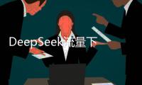 DeepSeek流量下滑
，这半年梁文锋都干了啥？