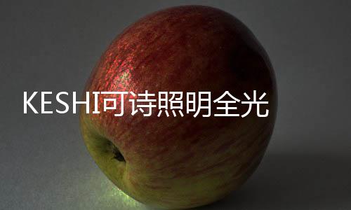 可谓是明全影响深远啊