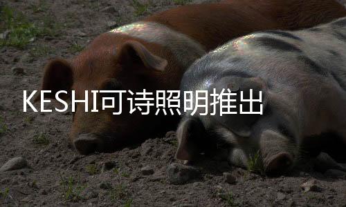 诗照光色品质CQS≥98