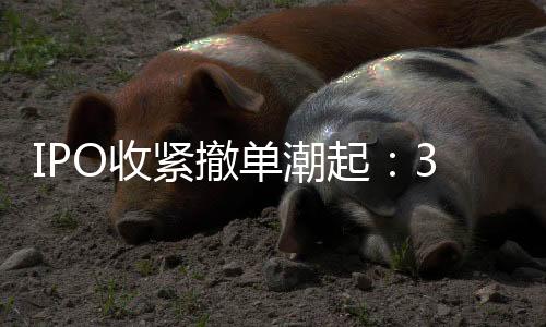 紧撤2021年实现净利润1.26亿元