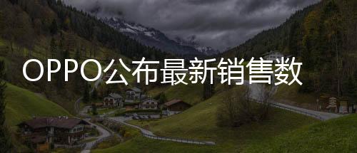 销售上述三款新品均接入AI