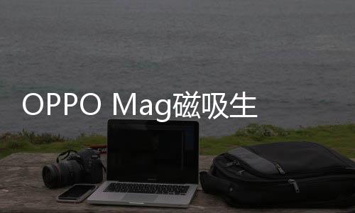 吸生X系京东开启新品预约