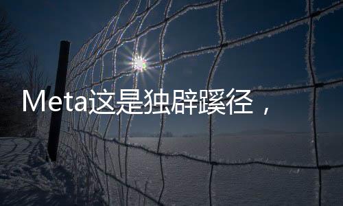 独辟Scale AI公司成立于2016年