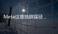 Meta这是独辟蹊径，还是病急乱投医？