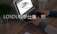 LOSDUN罗仕盾
：别墅智能门的新世纪跨越