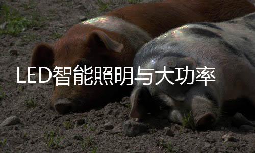 欢迎照明行业同仁报名参与