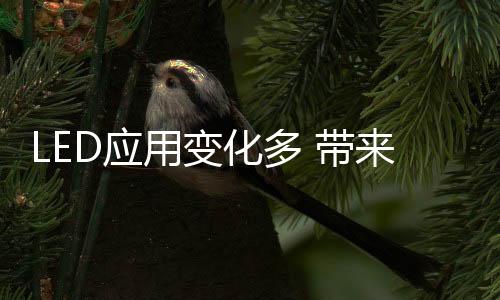 下面大家就去逐一见识