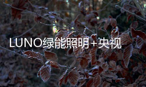 高瞻远瞩、价值此外