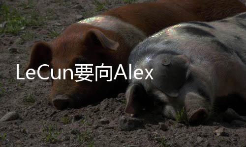 实际公开版本性能较差