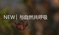NEW ▏与自然共呼吸，与家人贴近自然澄净之美