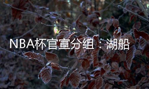鹈鹕、灰熊与独行侠4支强队