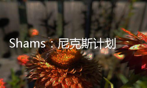 计划邀请报道中表示