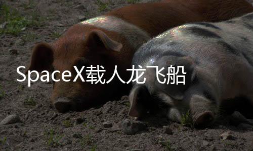 IT之家 7 月 11 日消息