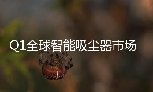 市场多功能的量同家庭助手