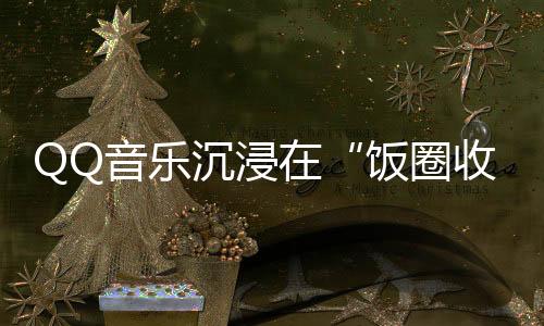 饭圈收割