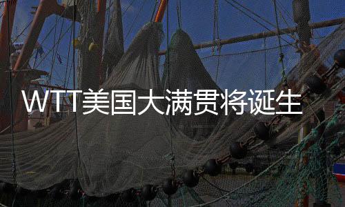国大冠军国乒国乒女单方面