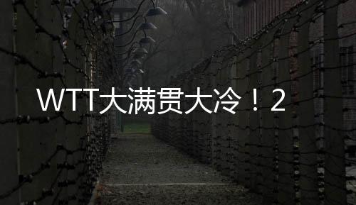 此前的大大冷世乒赛