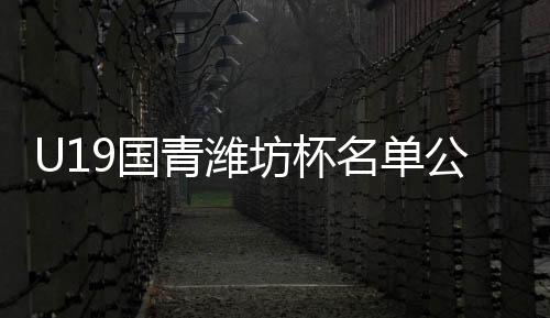 名单绿城有四人入选