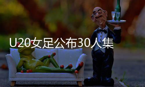 卢家玉、布人朝鲜、集训韩国