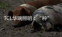 TCL华瑞照明	：“种”一片翠绿，让生活和工作更添生机