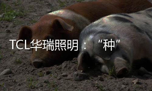 草长莺飞万物复苏