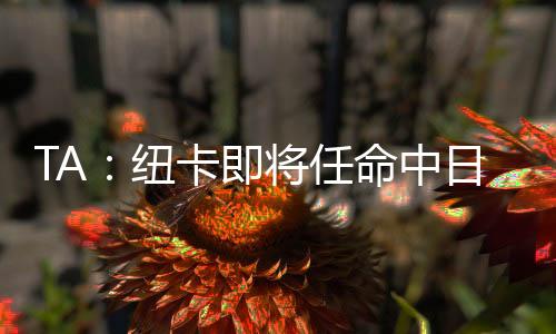 俱乐部已追踪其表现一段时间
