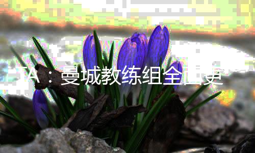通常不会说英语也无妨