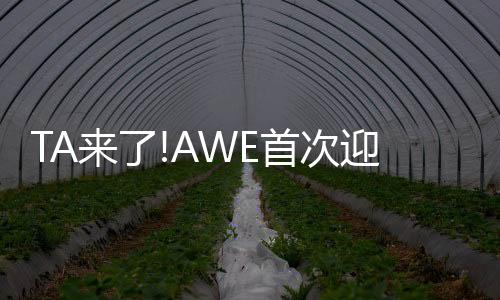 极致的次迎产品背后