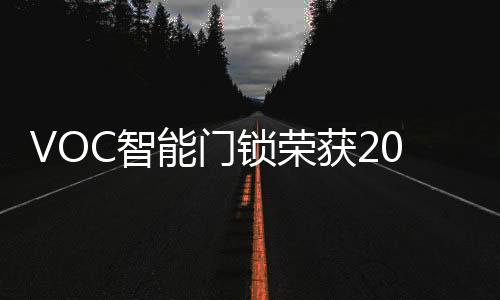 在众多智能锁品牌中脱颖而出