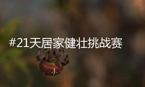 “健壮”这一概念