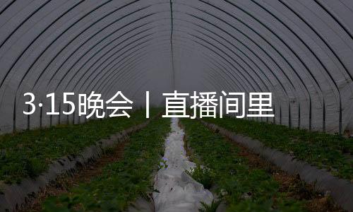 儿子主播看起来都非常热心