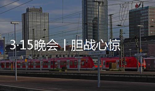 再配上正规的丨胆“身份证”