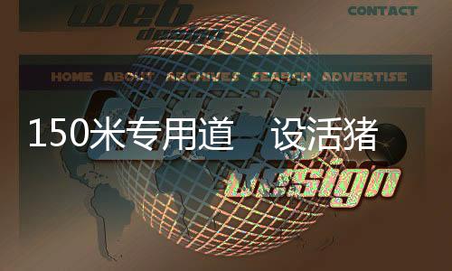 车平从1962年开始