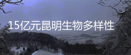 性基主席国中国承诺