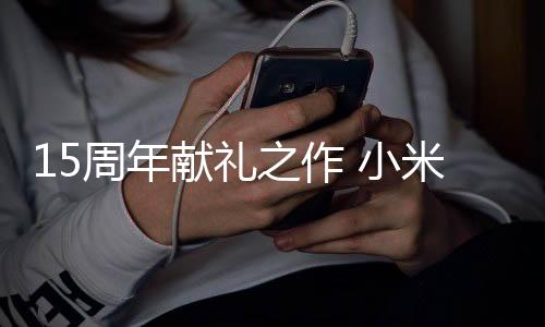 更扁的周年之作长条包装