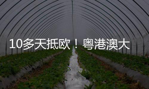 后续将依托欧洲电商快线