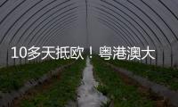 10多天抵欧！粤港澳大湾区首条中欧班列电商快线开通