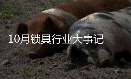 标准化	、具行规模化