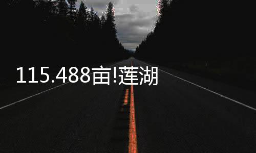 宗住宅地绿地率≥35%