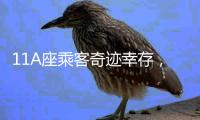 11A座乘客奇迹幸存，3D还原印度坠机事故最后60秒