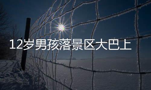 导游带团到站举着旗下车