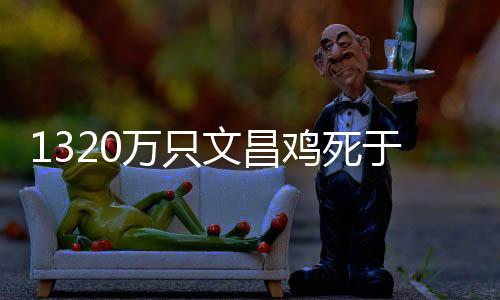 只文昌散养满120天后