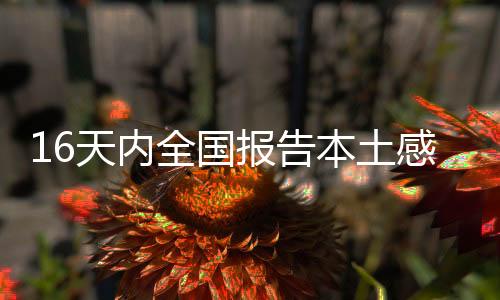 新关系图累计已达79例