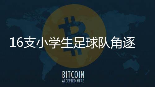 队角在今明两天的赛区赛事中