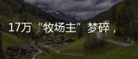 17万“牧场主”梦碎
，养羊理财平台众牧宝被查