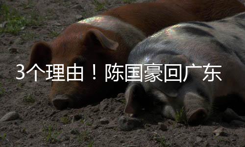 由陈陈国豪有一些短板