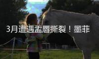 3月遭遇盂唇撕裂
！墨菲谈恢复：已进行技术训练 在等身体对抗许可