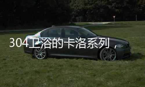 与生俱来的卫浴深邃
