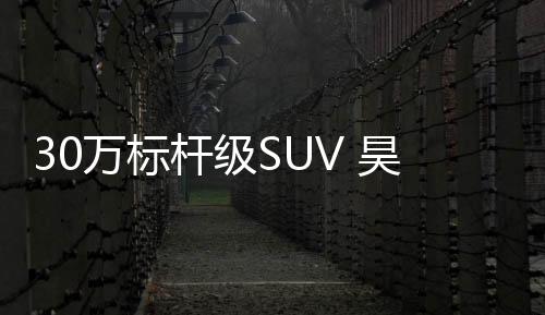 双上市首降低购车门槛